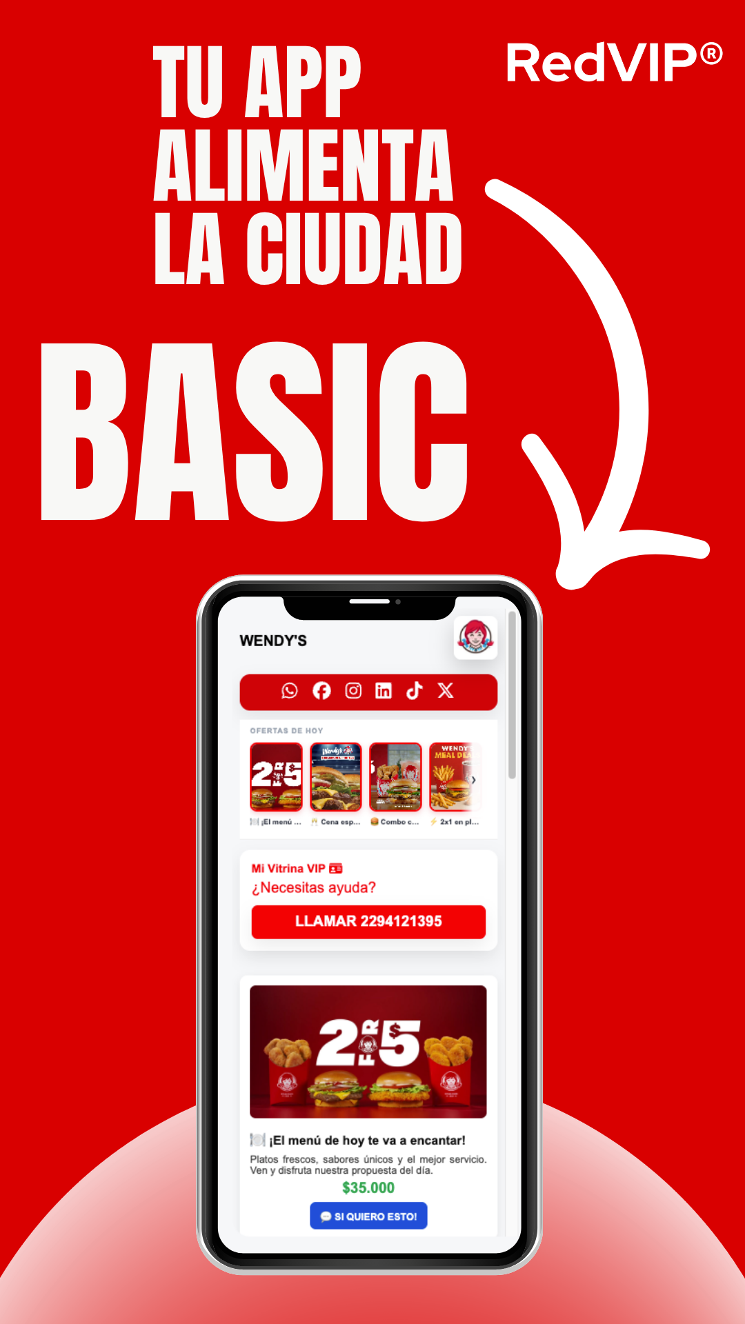 🟢 RedVIP® BASIC 🇨🇴
