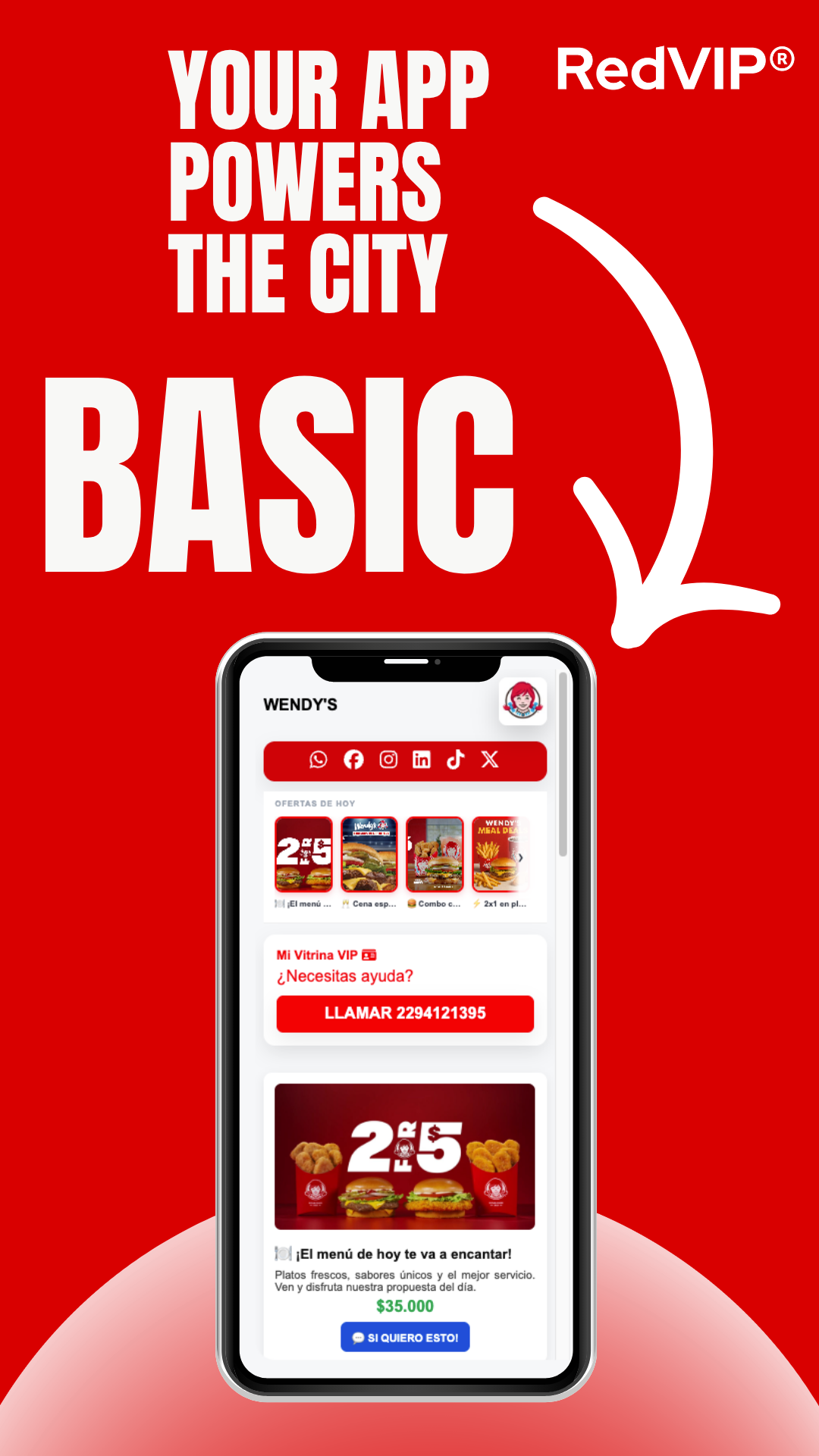 🟢 RedVIP® BASIC 🇺🇸
