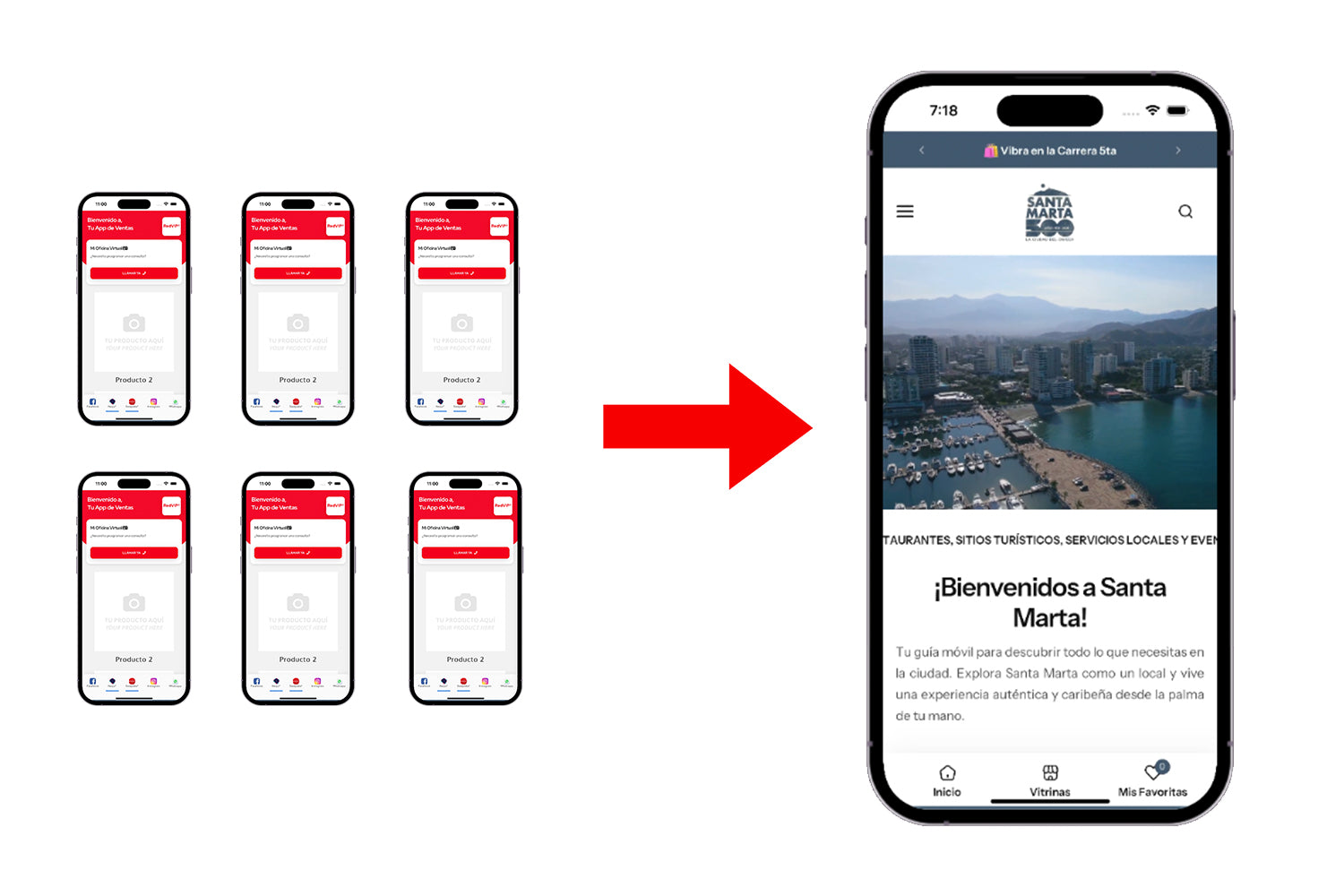 RedVIP® Master App — Community Commerce Network